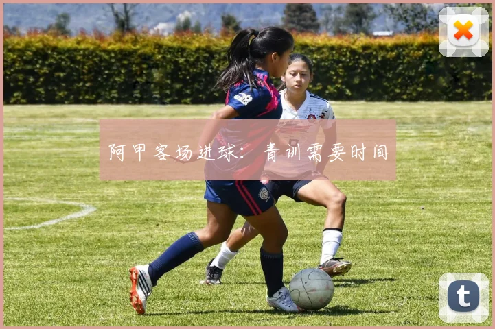 阿甲客场进球：青训需要时间