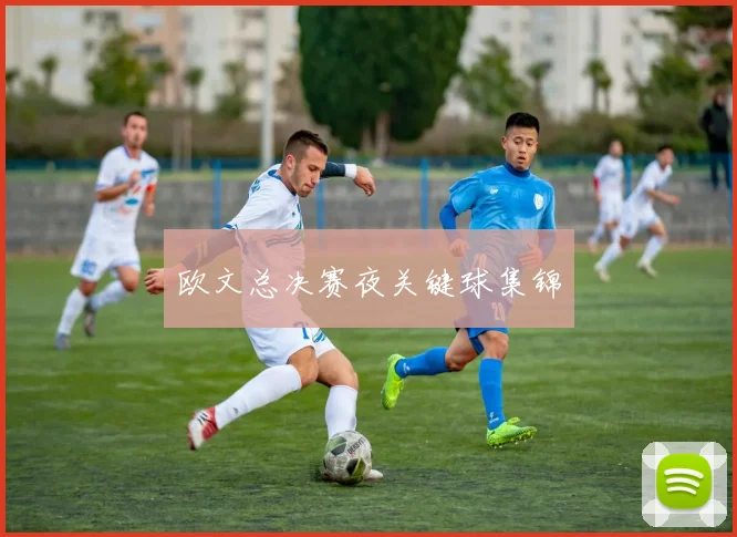 欧文总决赛夜关键球集锦