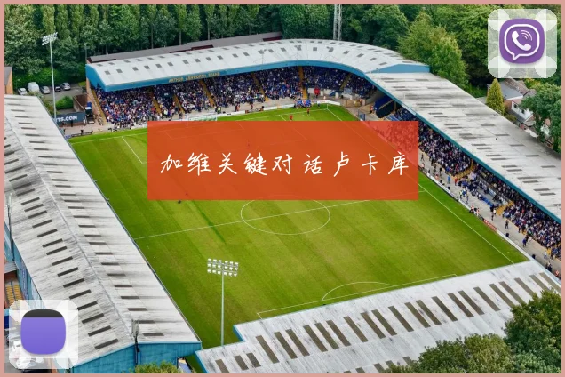 加维关键对话卢卡库