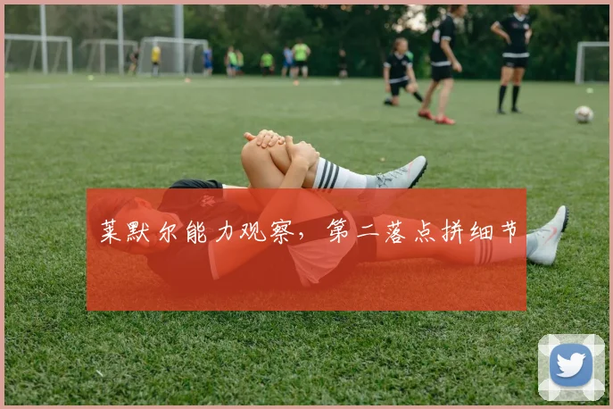 莱默尔能力观察，第二落点拼细节
