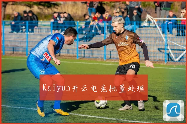 Kaiyun开云电竞批量处理