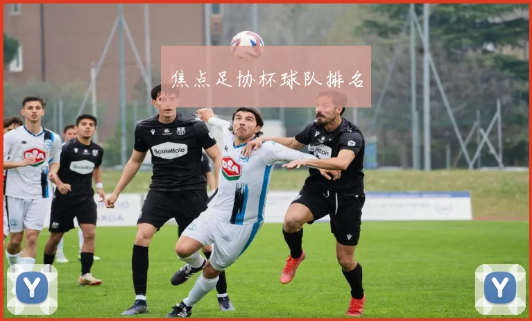 焦点足协杯球队排名
