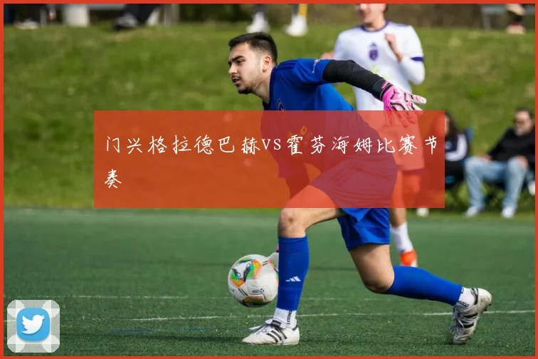 门兴格拉德巴赫vs霍芬海姆比赛节奏