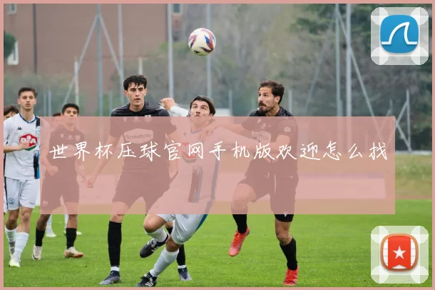 世界杯压球官网手机版欢迎怎么找