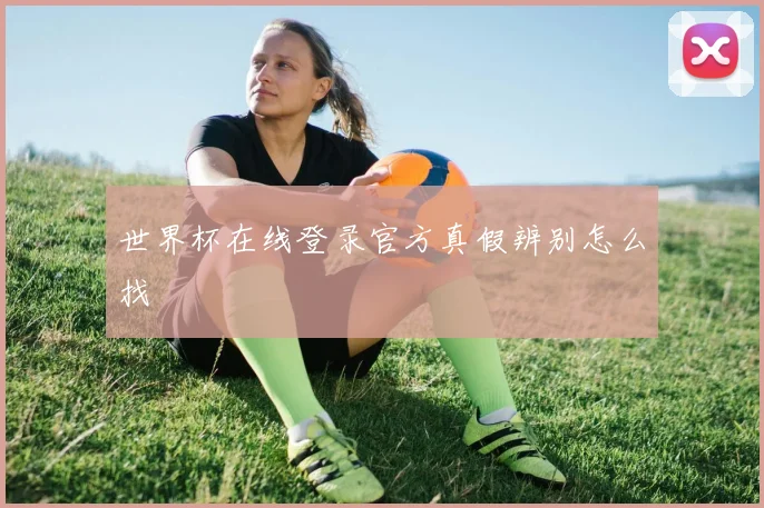 世界杯在线登录官方真假辨别怎么找